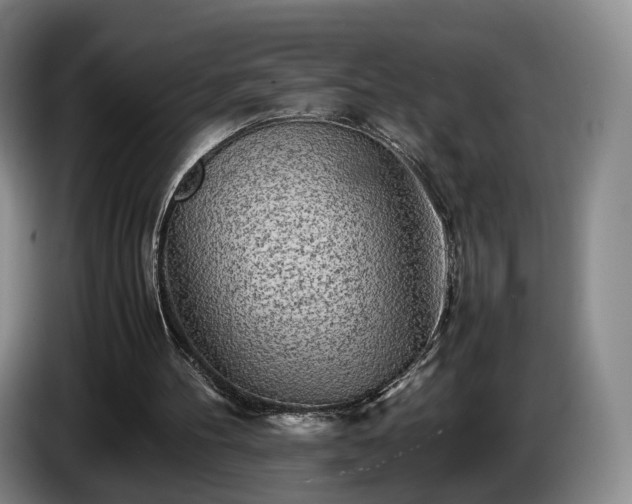 X0000085070100200703121650