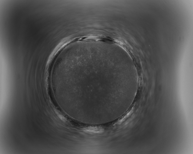 X0000085070101200703121650