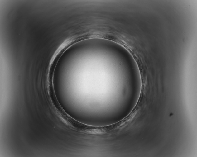 X0000085070102200703121650