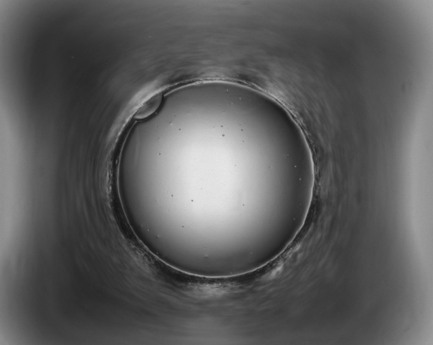 X0000085070103200703121650