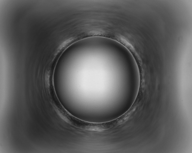 X0000085070106200703121650