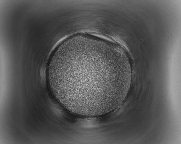 X0000085070108200703121650