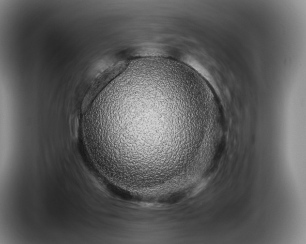 X0000085070109200703121650