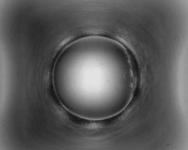 X0000085070111200703121650