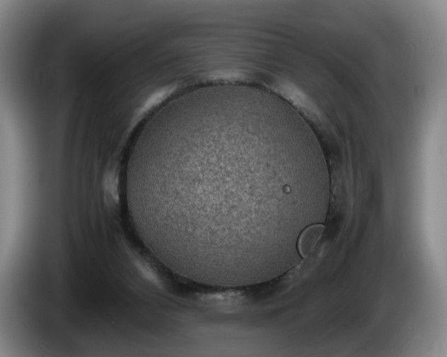 X0000085070112200703121650