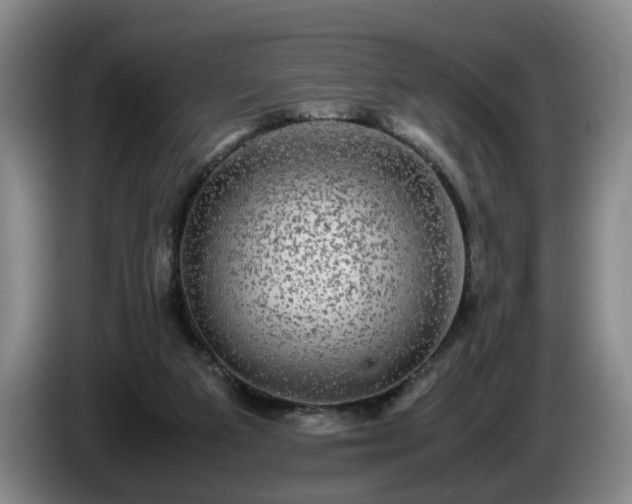 X0000085070113200703121650