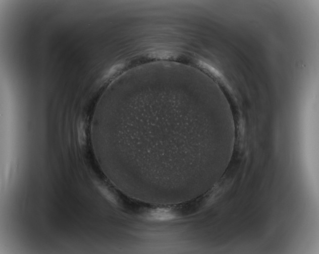 X0000085070114200703121650