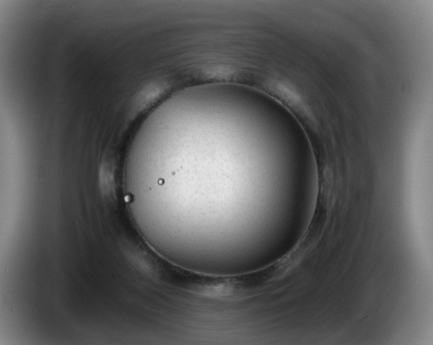 X0000085070116200703121650