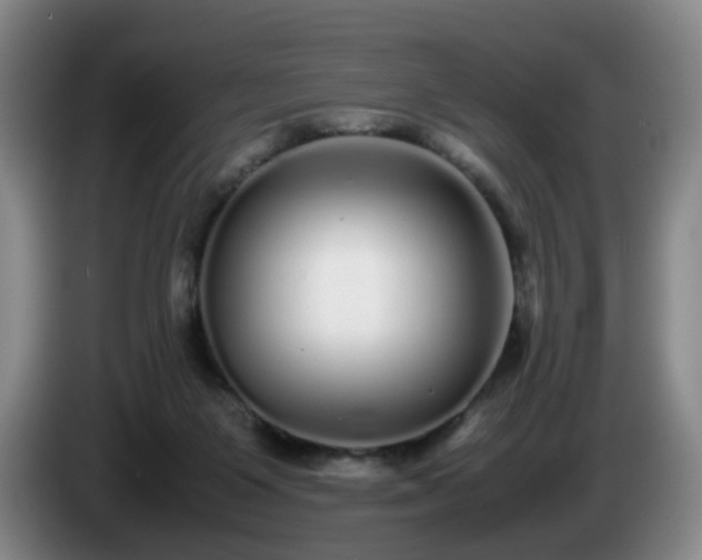 X0000085070119200703121650