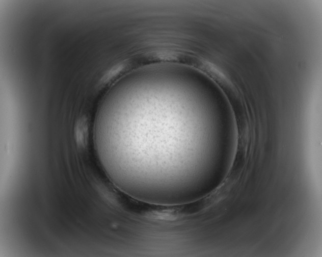 X0000085070120200703121650