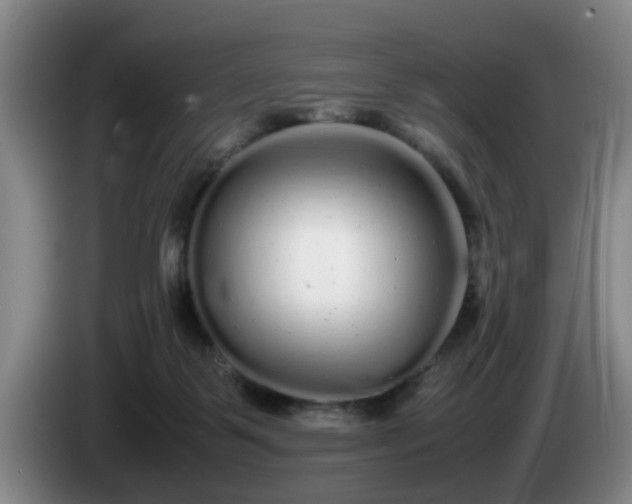 X0000085070123200703121650