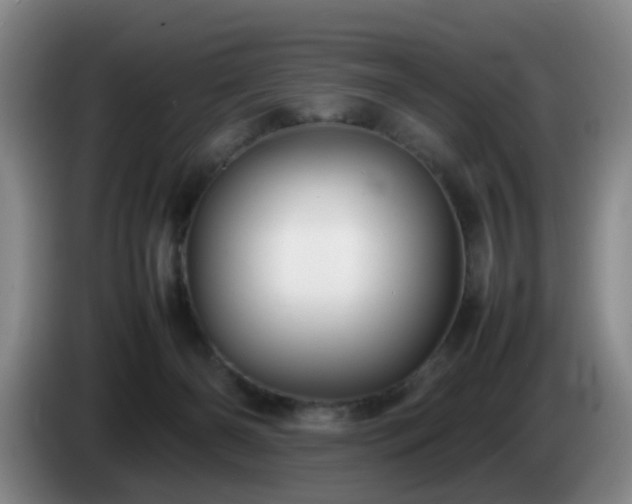 X0000085070126200703121650