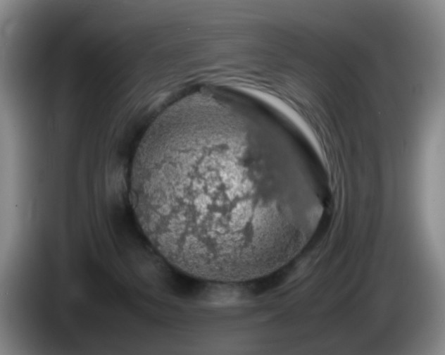 X0000085070127200703121650