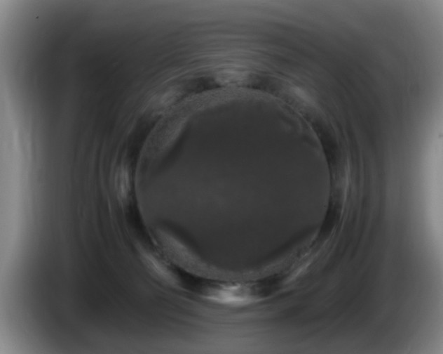 X0000085070130200703121650