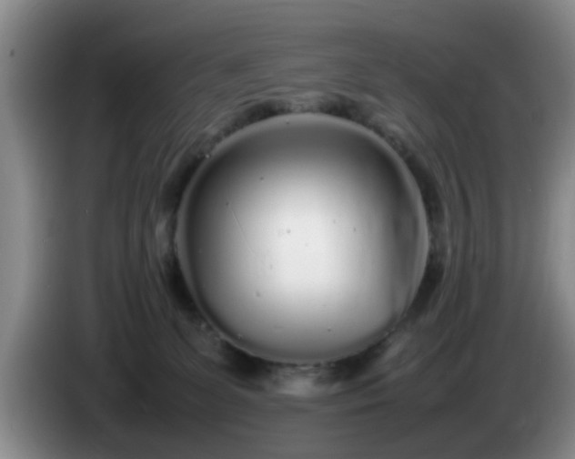 X0000085070131200703121650