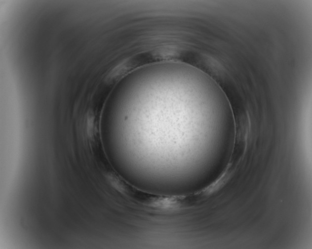 X0000085070140200703121650