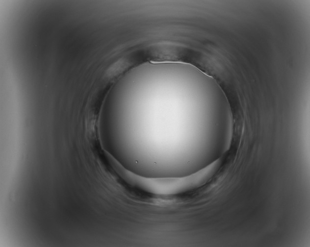 X0000085070141200703121650