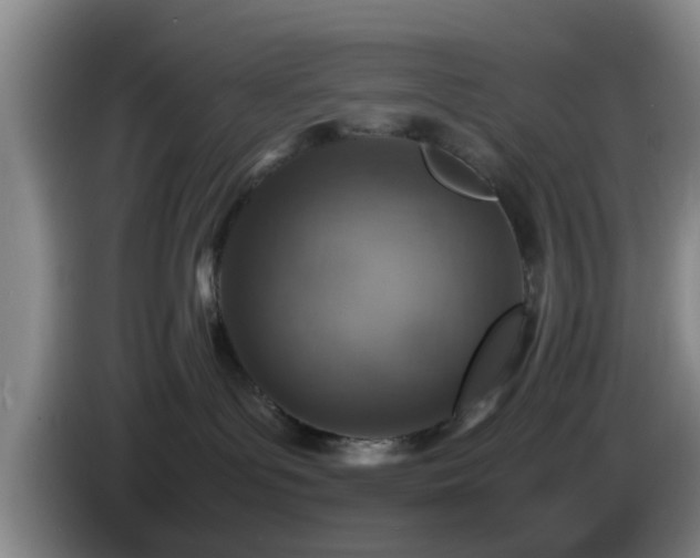 X0000085070143200703121650