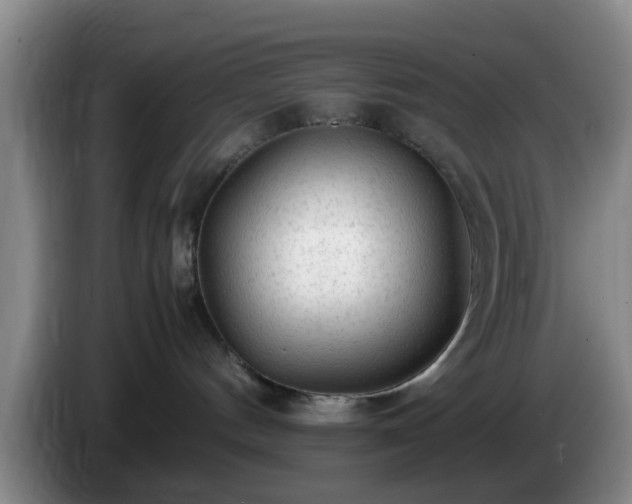 X0000085070144200703121650