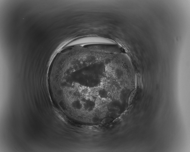 X0000085070147200703121649