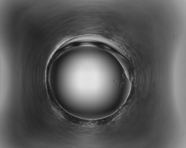 X0000085070148200703121649