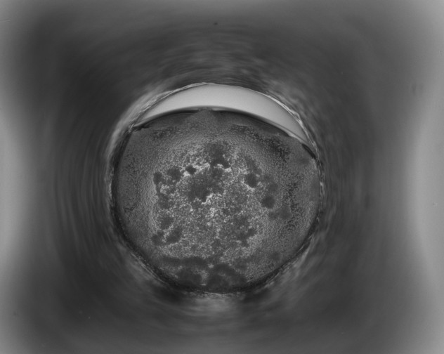 X0000085070149200703121649