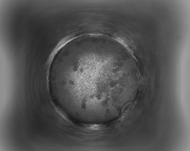 X0000085070151200703121649