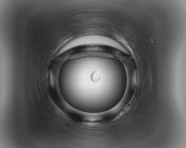 X0000085070154200703121649