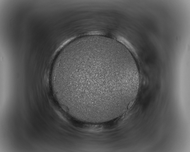 X0000085070155200703121649