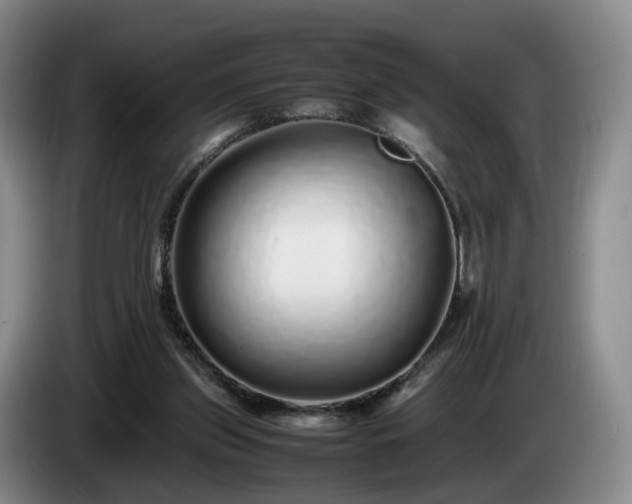 X0000085070157200703121649