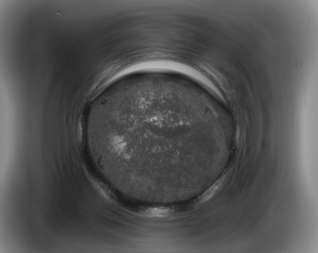 X0000085070158200703121649