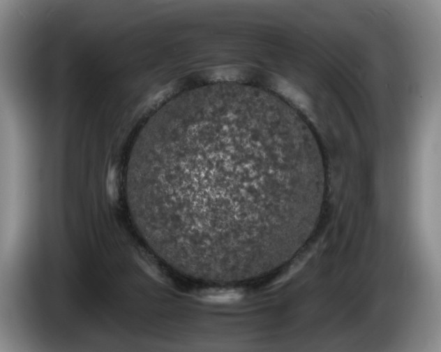 X0000085070161200703121649