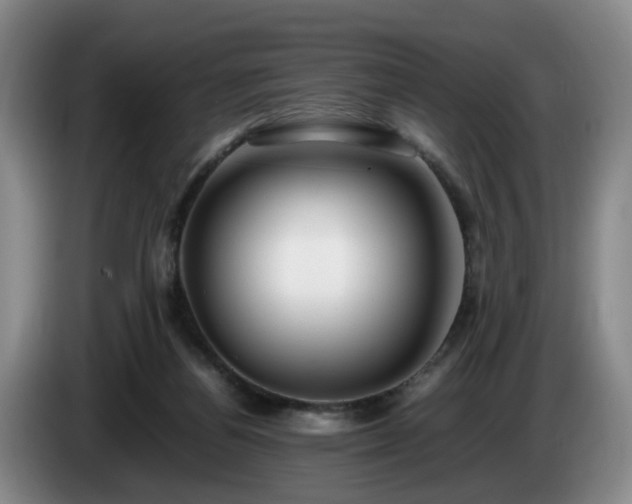 X0000085070164200703121649