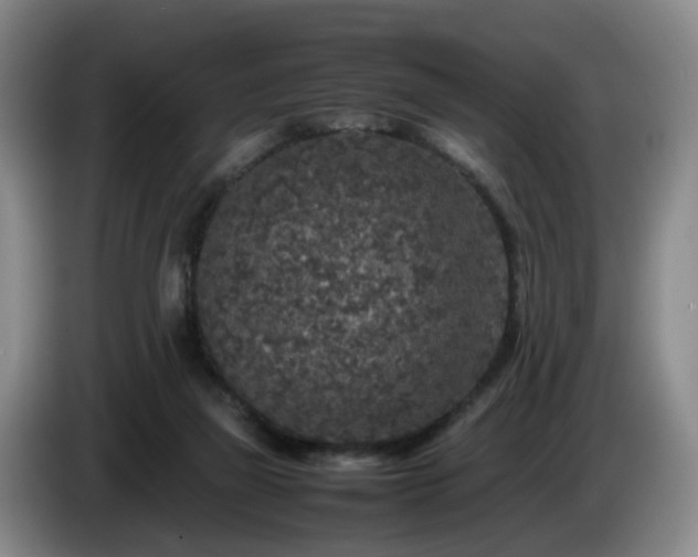 X0000085070165200703121649