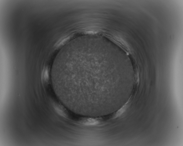 X0000085070166200703121649