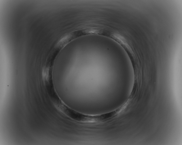 X0000085070167200703121649