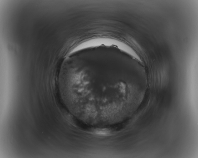 X0000085070169200703121649