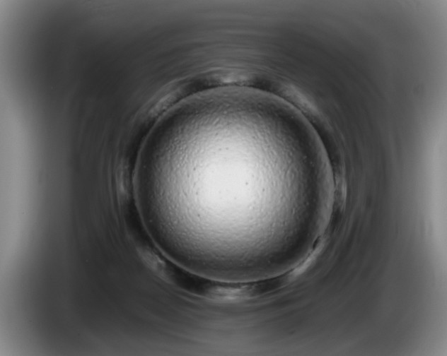 X0000085070170200703121649