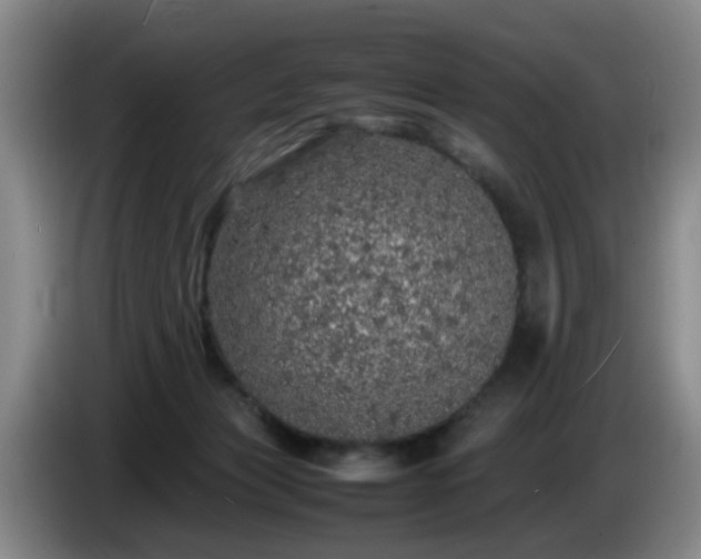 X0000085070173200703121649