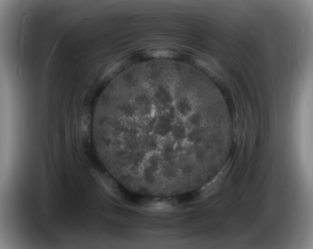 X0000085070175200703121649