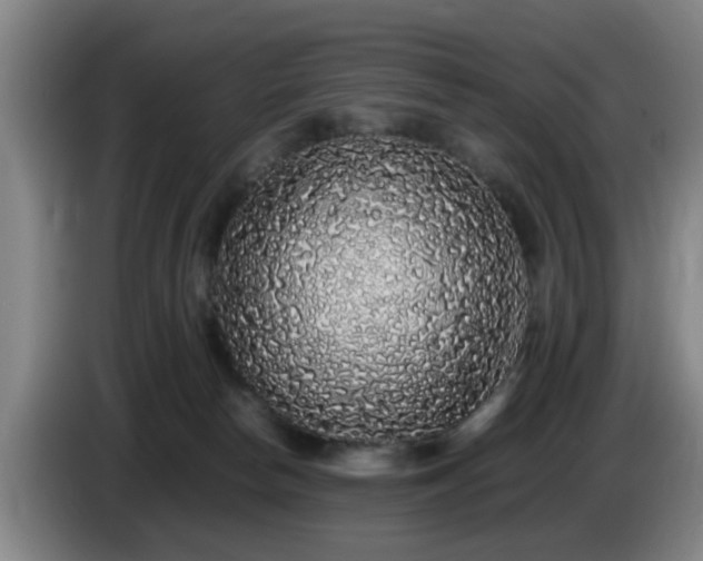 X0000085070178200703121649