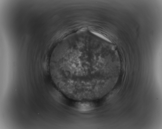 X0000085070181200703121649