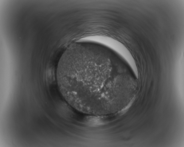 X0000085070182200703121649