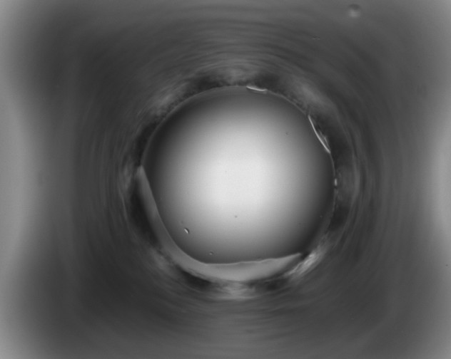 X0000085070184200703121649