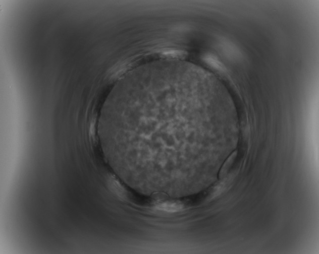 X0000085070185200703121649