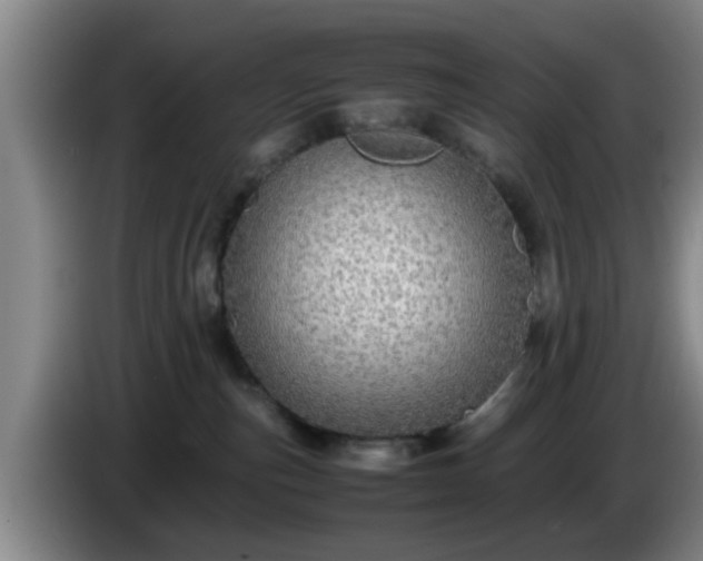 X0000085070187200703121649