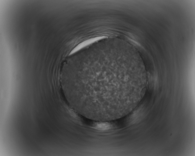 X0000085070189200703121649