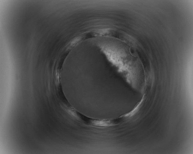 X0000085070191200703121649