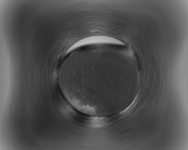 X0000085070192200703121649