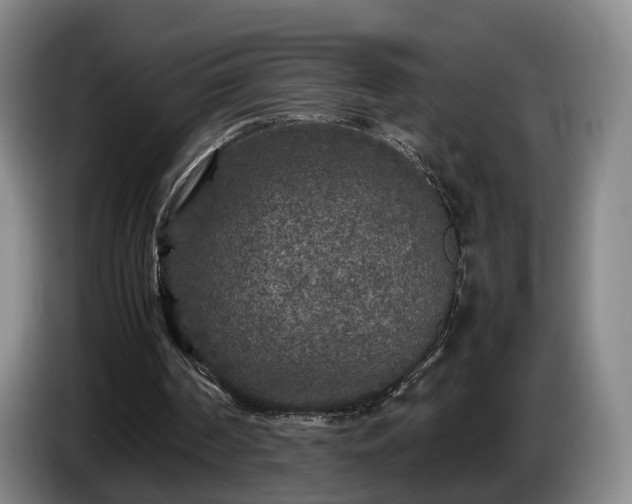 X0000085070194200703121649